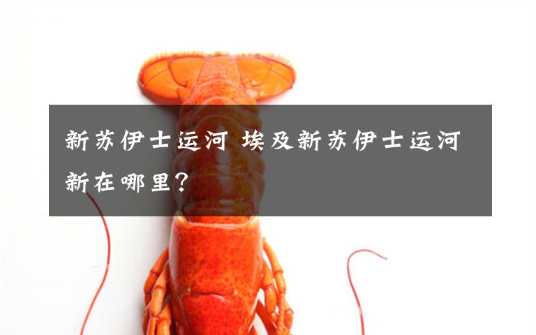 新苏伊士运河 埃及新苏伊士运河新在哪里？