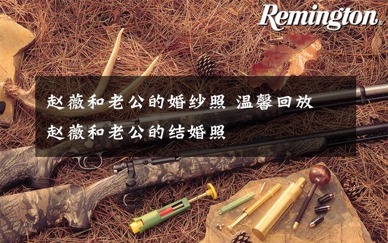 赵薇和老公的婚纱照 温馨回放 赵薇和老公的结婚照