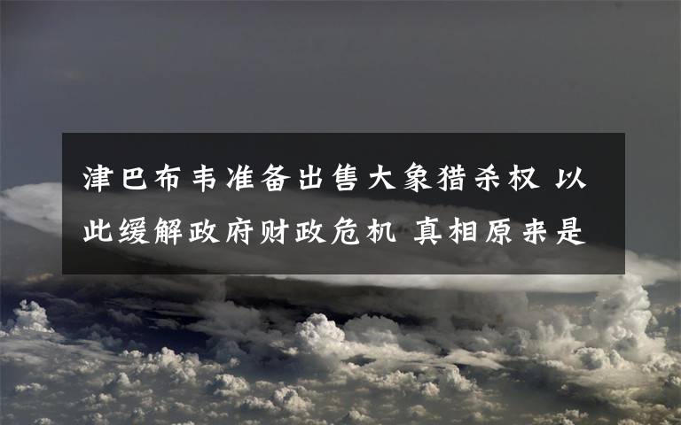 津巴布韦准备出售大象猎杀权 以此缓解政府财政危机 真相原来是这样！