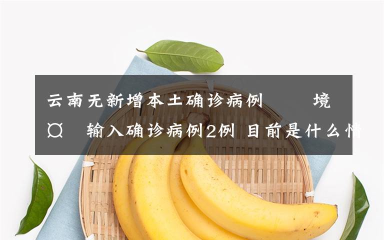 云南无新增本土确诊病例   境外输入确诊病例2例 目前是什么情况？