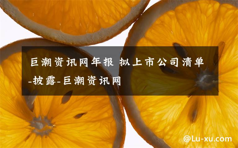 巨潮资讯网年报 拟上市公司清单-披露-巨潮资讯网