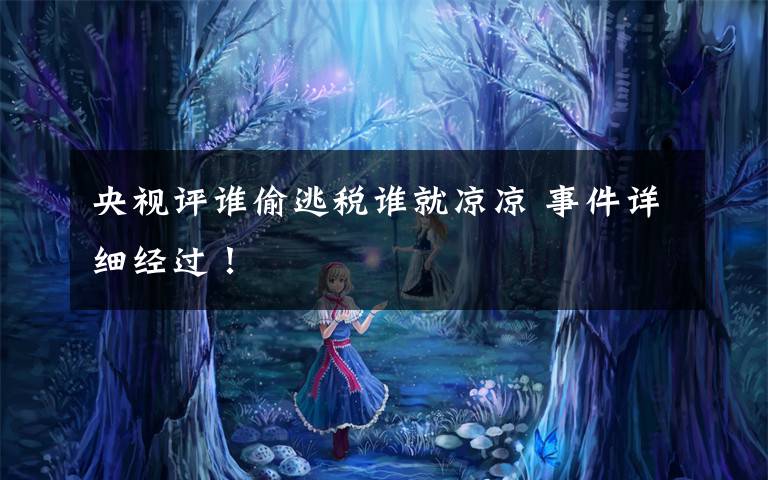 央视评谁偷逃税谁就凉凉 事件详细经过！