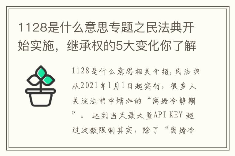 1128是什么意思专题之民法典开始实施，继承权的5大变化你了解吗？