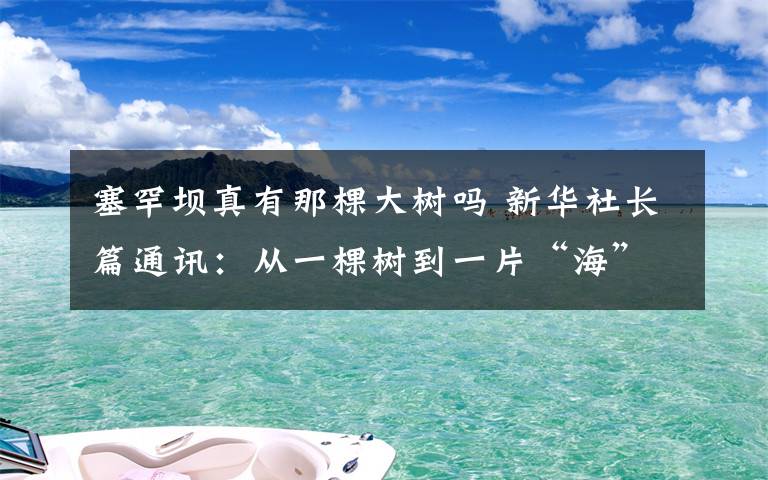 塞罕坝真有那棵大树吗 新华社长篇通讯：从一棵树到一片“海”——塞罕坝生态文明建设范例启示录