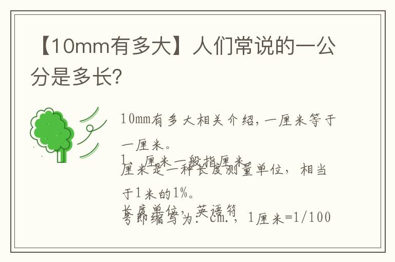 【10mm有多大】人们常说的一公分是多长？