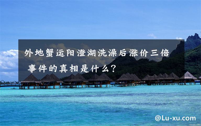 外地蟹运阳澄湖洗澡后涨价三倍 事件的真相是什么？