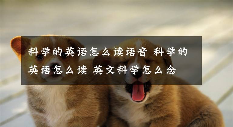 科学的英语怎么读语音 科学的英语怎么读 英文科学怎么念