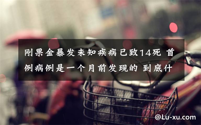 刚果金暴发未知疾病已致14死 首例病例是一个月前发现的 到底什么情况呢？