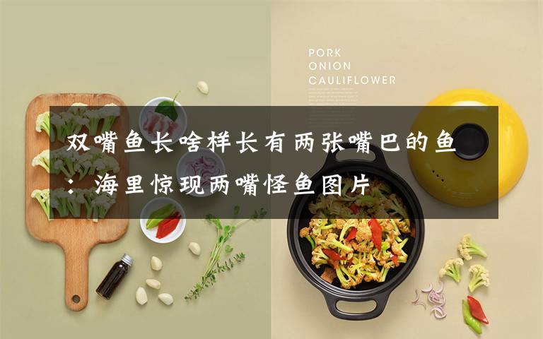 双嘴鱼长啥样长有两张嘴巴的鱼：海里惊现两嘴怪鱼图片