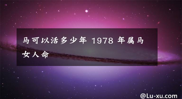 马可以活多少年 1978 年属马女人命