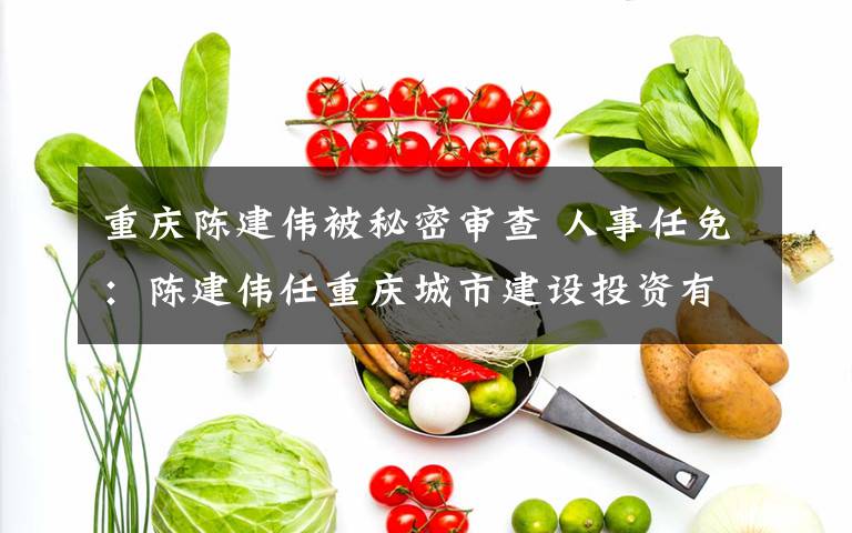重庆陈建伟被秘密审查 人事任免：陈建伟任重庆城市建设投资有限公司董事长