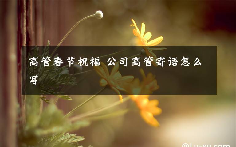 高管春节祝福 公司高管寄语怎么写