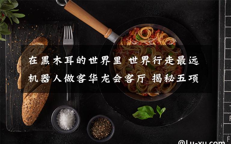 在黑木耳的世界里 世界行走最远机器人做客华龙会客厅 揭秘五项背后故事