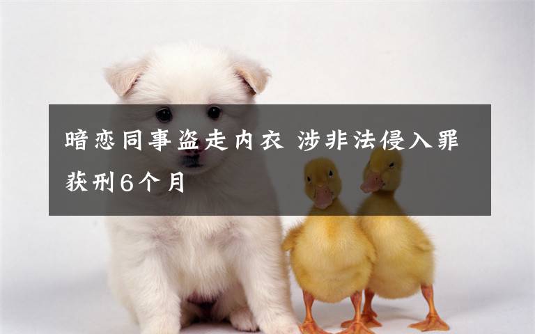 暗恋同事盗走内衣 涉非法侵入罪获刑6个月