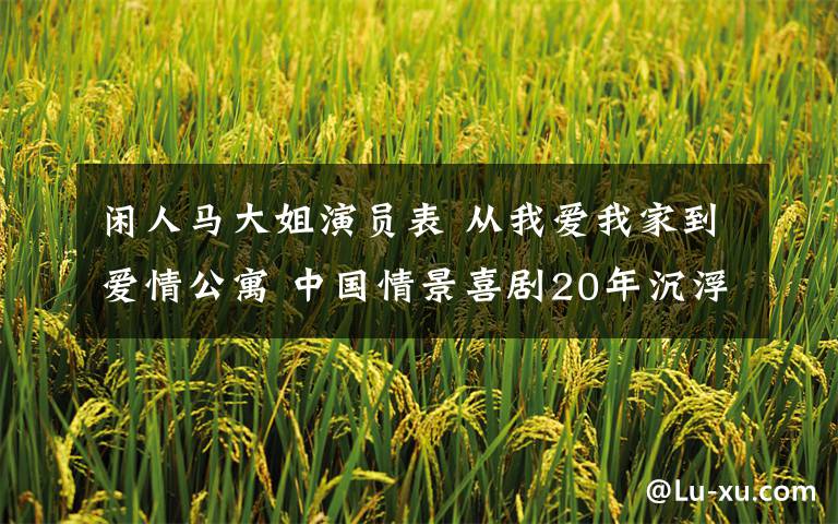 闲人马大姐演员表 从我爱我家到爱情公寓 中国情景喜剧20年沉浮记