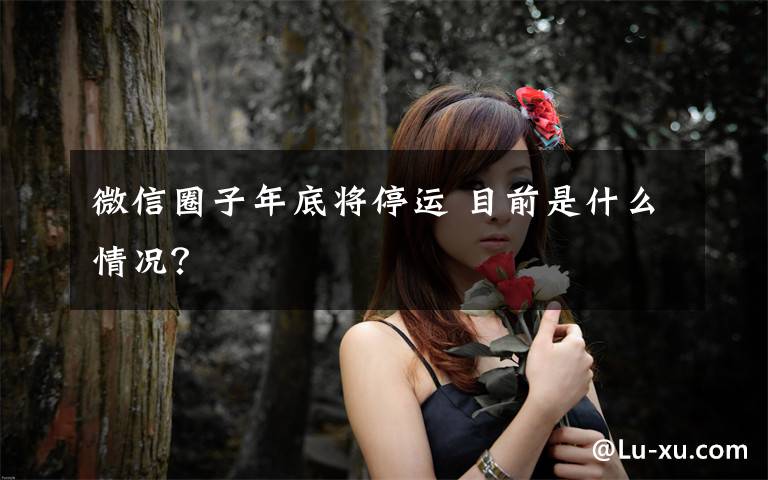 微信圈子年底将停运 目前是什么情况？