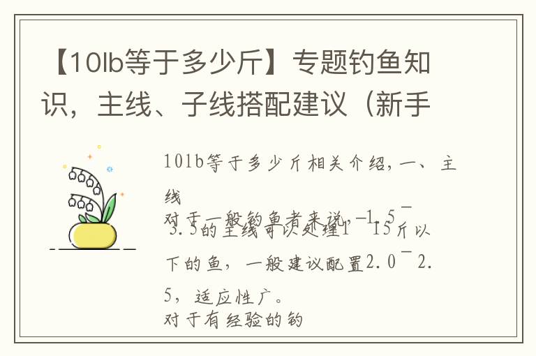 【10lb等于多少斤】专题钓鱼知识，主线、子线搭配建议（新手福利）