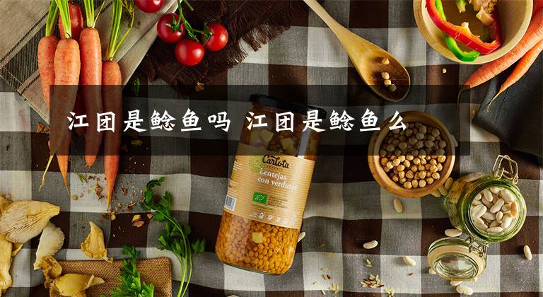 江团是鲶鱼吗 江团是鲶鱼么