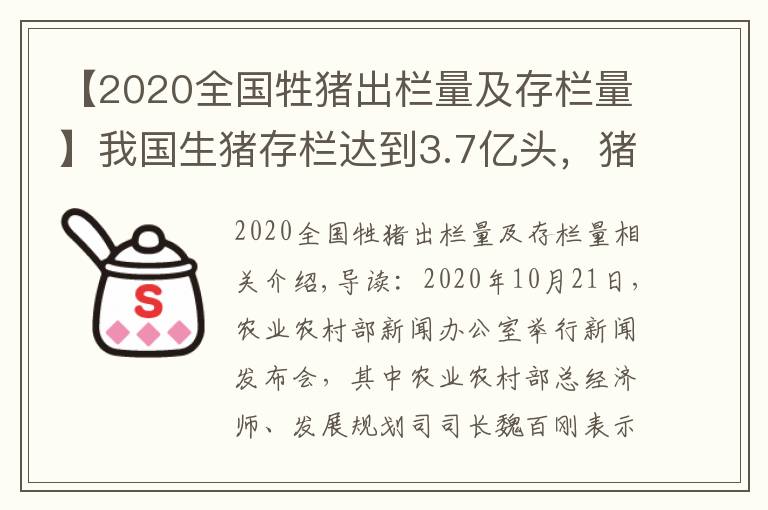 【2020全国牲猪出栏量及存栏量】我国生猪存栏达到3.7亿头，猪价全线跌破15元，养猪户要慌了