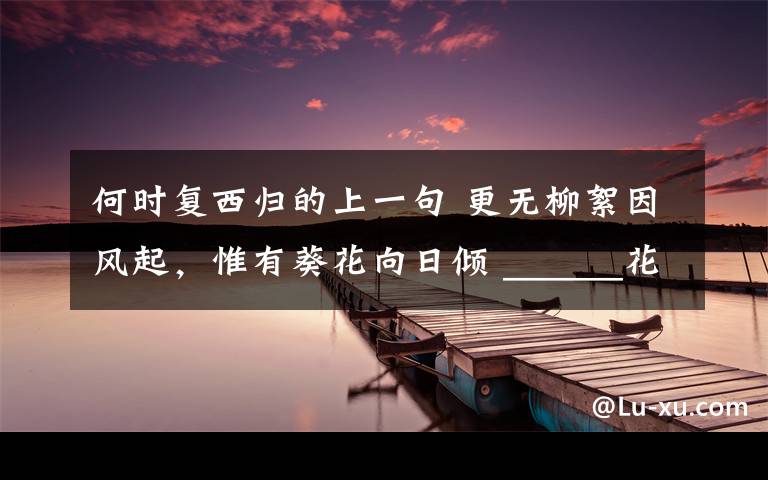 何时复西归的上一句 更无柳絮因风起，惟有葵花向日倾 ______花盘俊态缤纷
