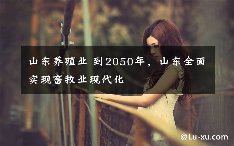 山东养殖业 到2050年，山东全面实现畜牧业现代化
