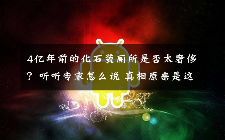 4亿年前的化石装厕所是否太奢侈？听听专家怎么说 真相原来是这样！