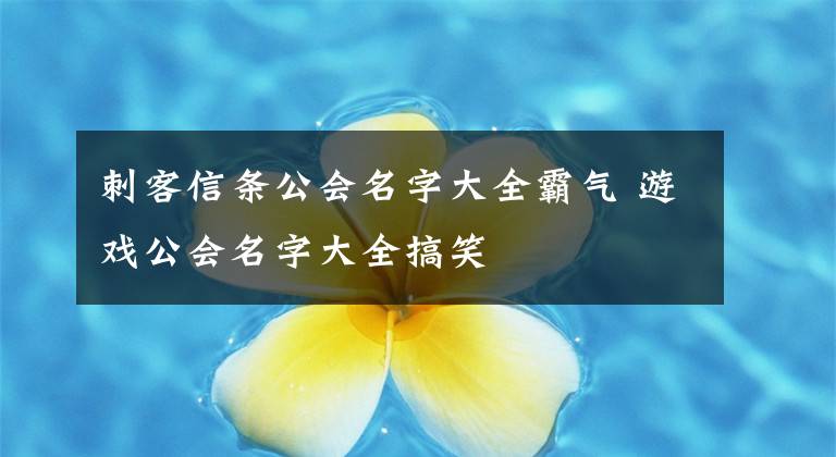 刺客信条公会名字大全霸气 游戏公会名字大全搞笑