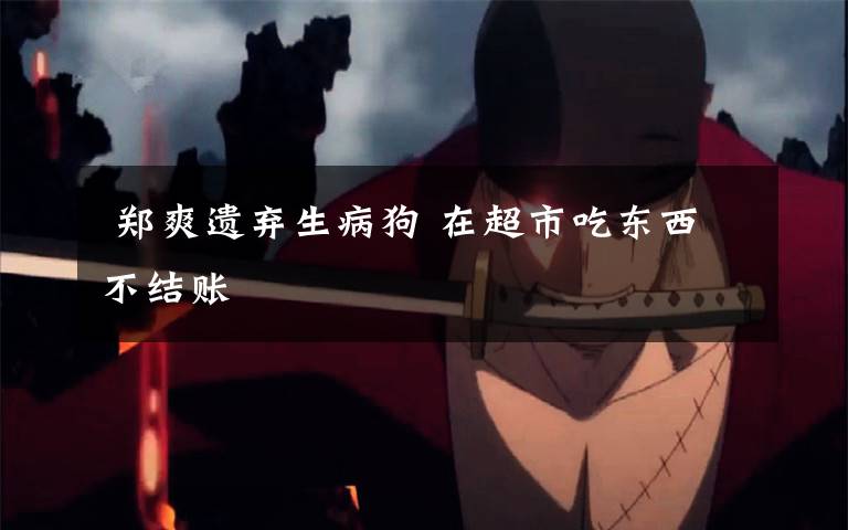 郑爽遗弃生病狗 在超市吃东西不结账