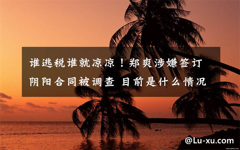 谁逃税谁就凉凉！郑爽涉嫌签订阴阳合同被调查 目前是什么情况？