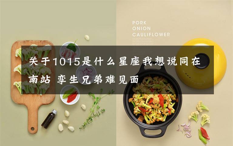 关于1015是什么星座我想说同在南站 孪生兄弟难见面