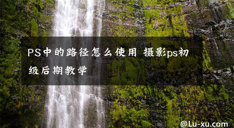 PS中的路径怎么使用 摄影ps初级后期教学