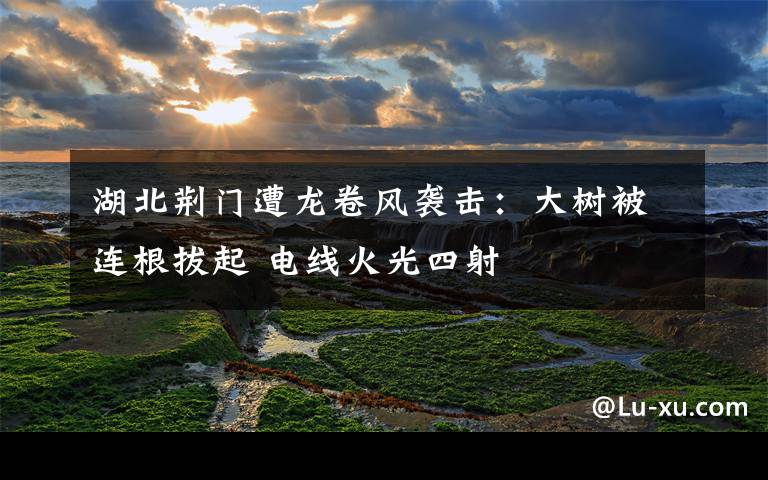 湖北荆门遭龙卷风袭击：大树被连根拔起 电线火光四射