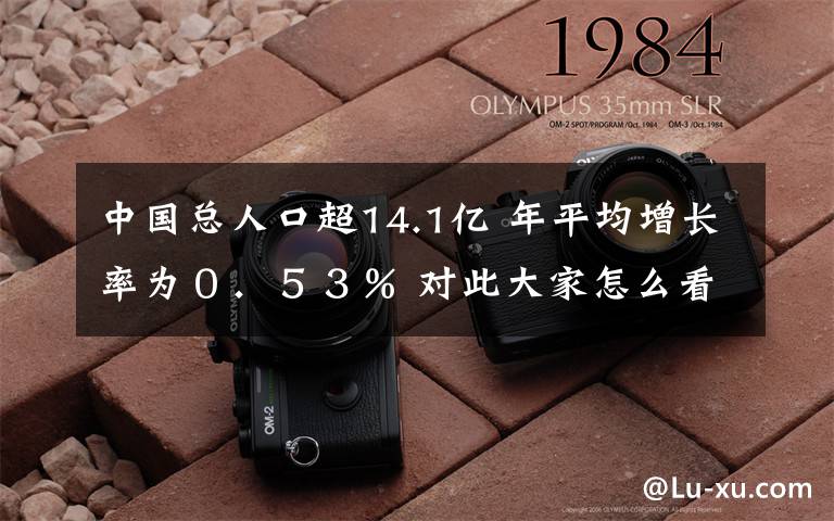 中国总人口超14.1亿 年平均增长率为０．５３％ 对此大家怎么看？