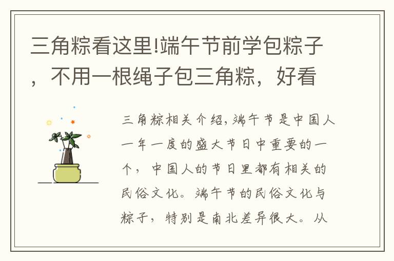 三角粽看这里!端午节前学包粽子，不用一根绳子包三角粽，好看又扎实