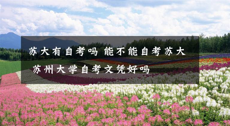 苏大有自考吗 能不能自考苏大 苏州大学自考文凭好吗