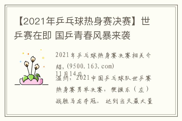 【2021年乒乓球热身赛决赛】世乒赛在即 国乒青春风暴来袭