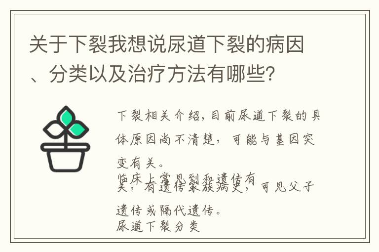 关于下裂我想说尿道下裂的病因、分类以及治疗方法有哪些？