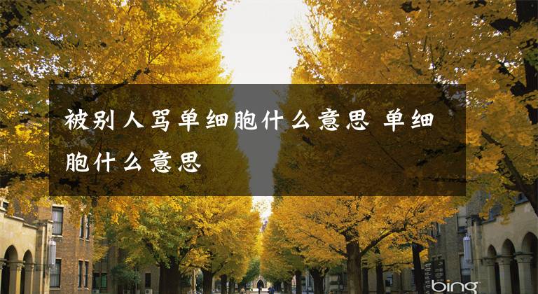 被别人骂单细胞什么意思 单细胞什么意思