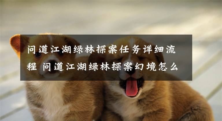 问道江湖绿林探案任务详细流程 问道江湖绿林探案幻境怎么过