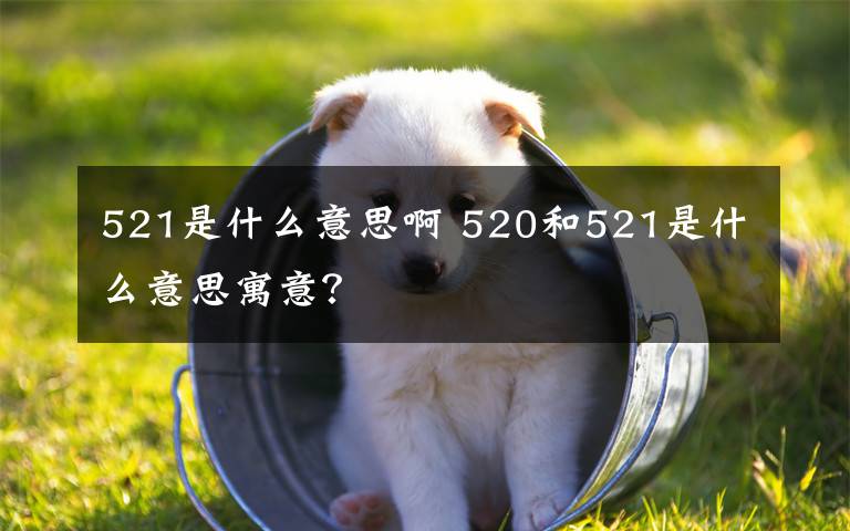 521是什么意思啊 520和521是什么意思寓意？