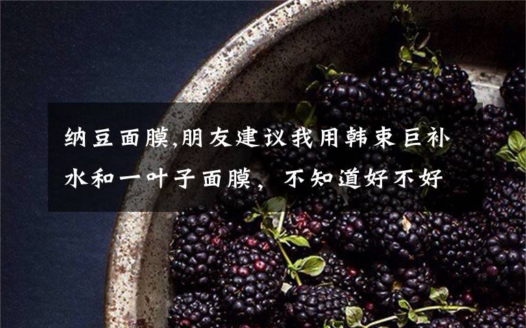 纳豆面膜,朋友建议我用韩束巨补水和一叶子面膜，不知道好不好用？