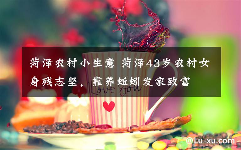 菏泽农村小生意 菏泽43岁农村女身残志坚，靠养蚯蚓发家致富