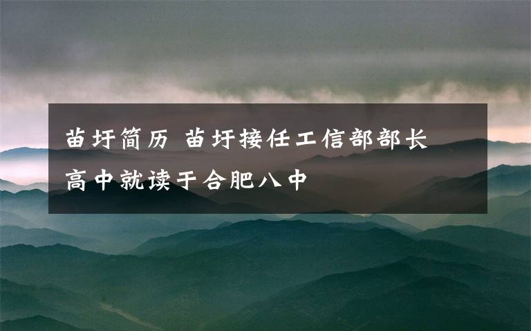 苗圩简历 苗圩接任工信部部长 高中就读于合肥八中
