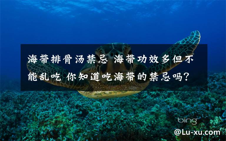 海带排骨汤禁忌 海带功效多但不能乱吃 你知道吃海带的禁忌吗？