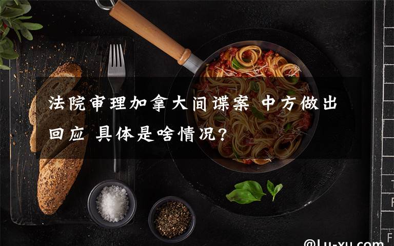 法院审理加拿大间谍案 中方做出回应 具体是啥情况?