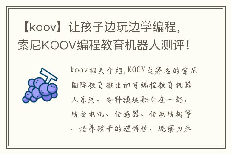 【koov】让孩子边玩边学编程，索尼KOOV编程教育机器人测评！