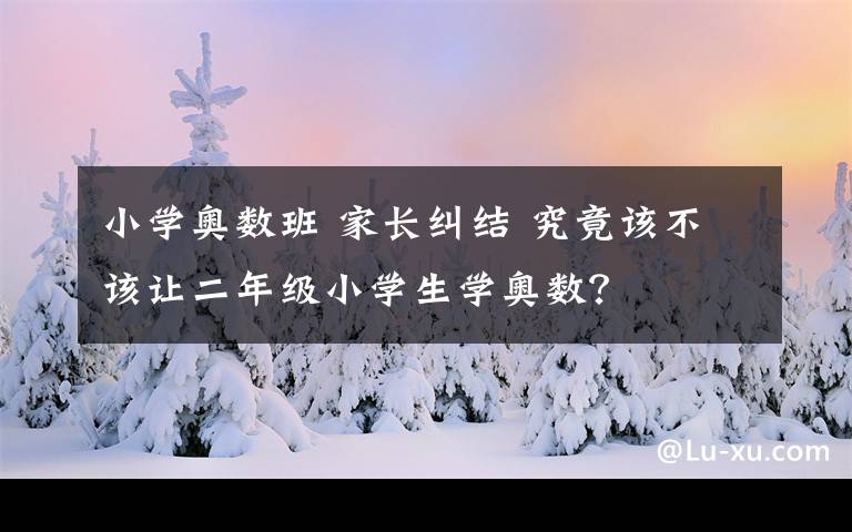小学奥数班 家长纠结 究竟该不该让二年级小学生学奥数？