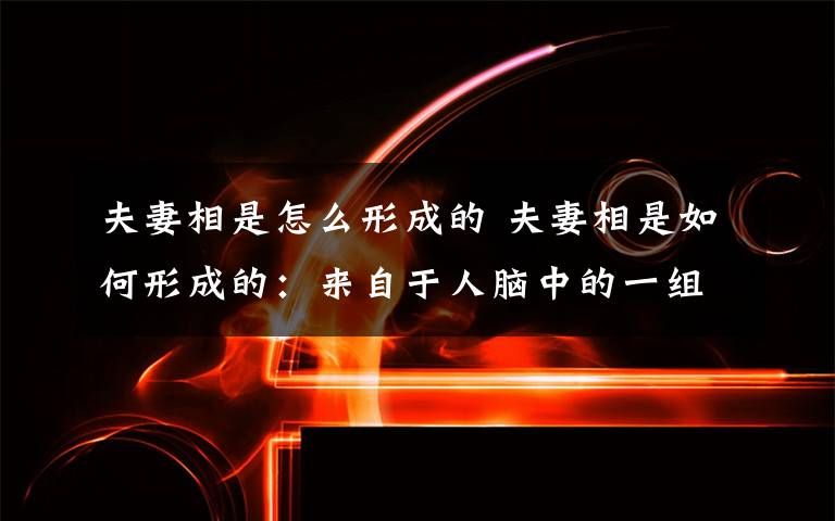 夫妻相是怎么形成的 夫妻相是如何形成的：来自于人脑中的一组神经细胞