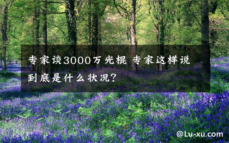 专家谈3000万光棍 专家这样说 到底是什么状况？