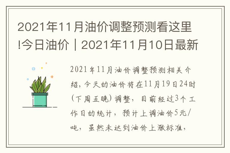 2021年11月油价调整预测看这里!今日油价｜2021年11月10日最新油价，92、95汽油与0号柴油价格